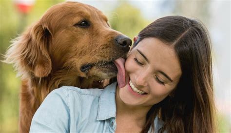 mujeres follando con perros grandes|Perro el doble de grande que la joven follando